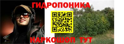 стафф Краснокаменск