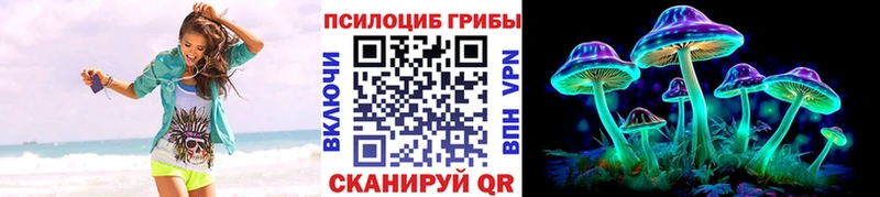 купить наркоту  Ноябрьск  даркнет какой сайт  Галлюциногенные грибы Magic Shrooms 